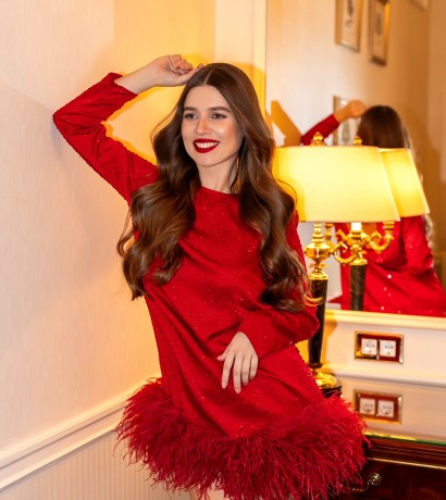 Swarovski and feather embroidered silk dress