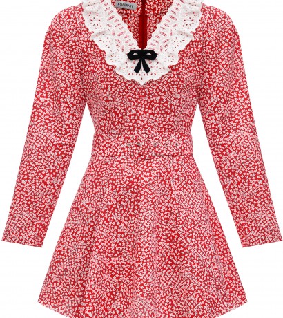 Floral print lace collar dress